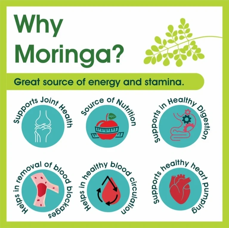 CarePlus Moringa Capsule 80pcs | Natural Immunity Booster & Energy Supplement - Image 6